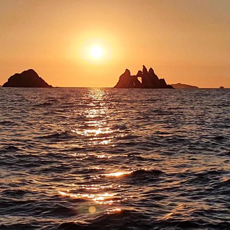 Porquerolles - Nuit Insolite A Bord Du Defi Fou Dış mekan fotoğraf
