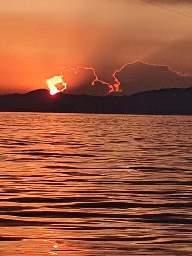 Porquerolles - Nuit Insolite A Bord Du Defi Fou Dış mekan fotoğraf