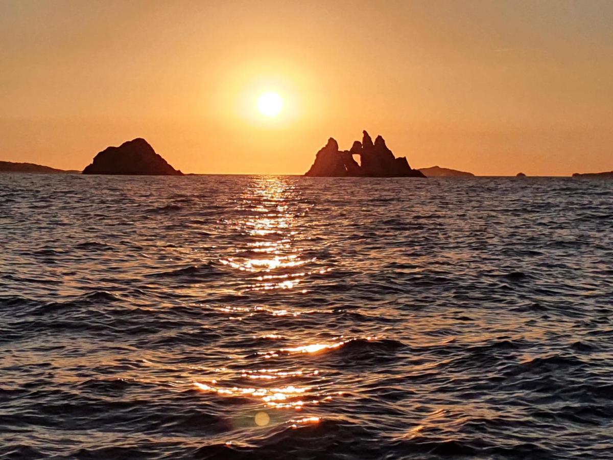 Porquerolles - Nuit Insolite A Bord Du Defi Fou Dış mekan fotoğraf