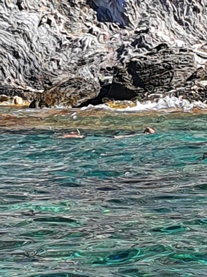 Porquerolles - Nuit Insolite A Bord Du Defi Fou Dış mekan fotoğraf